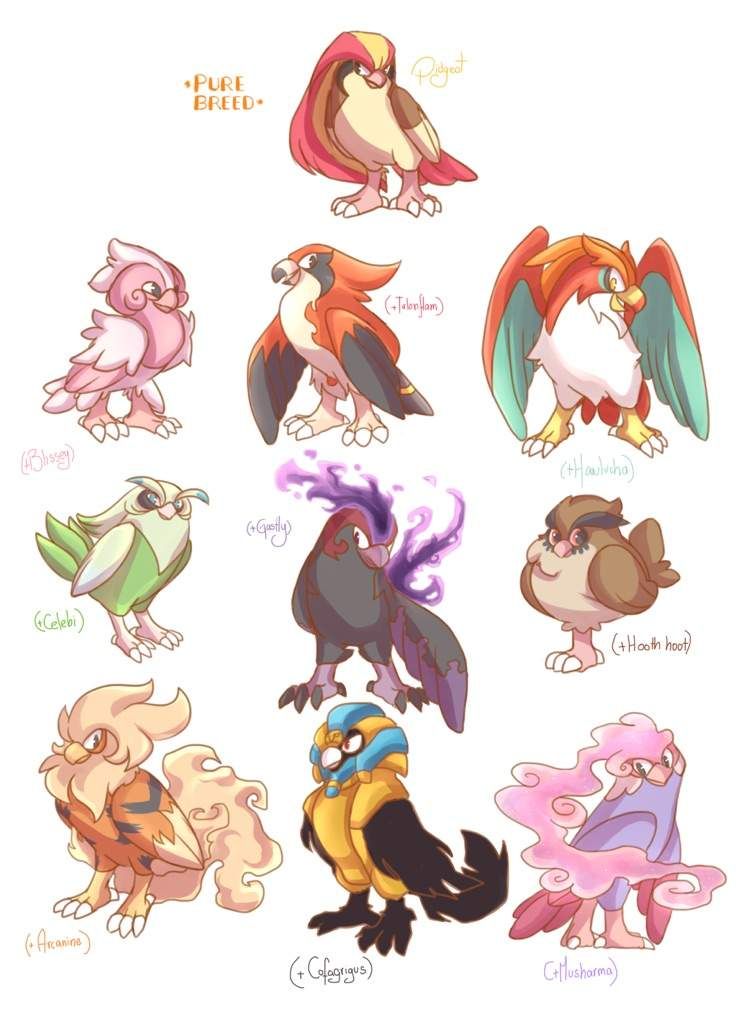 DescriçaoDaPokedex - Hawlucha  Pokémon Amino Em Português Amino