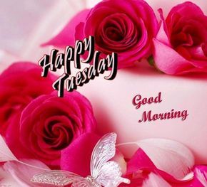 20 Best Happy Tuesday Morning Messages Romantic Good Morning