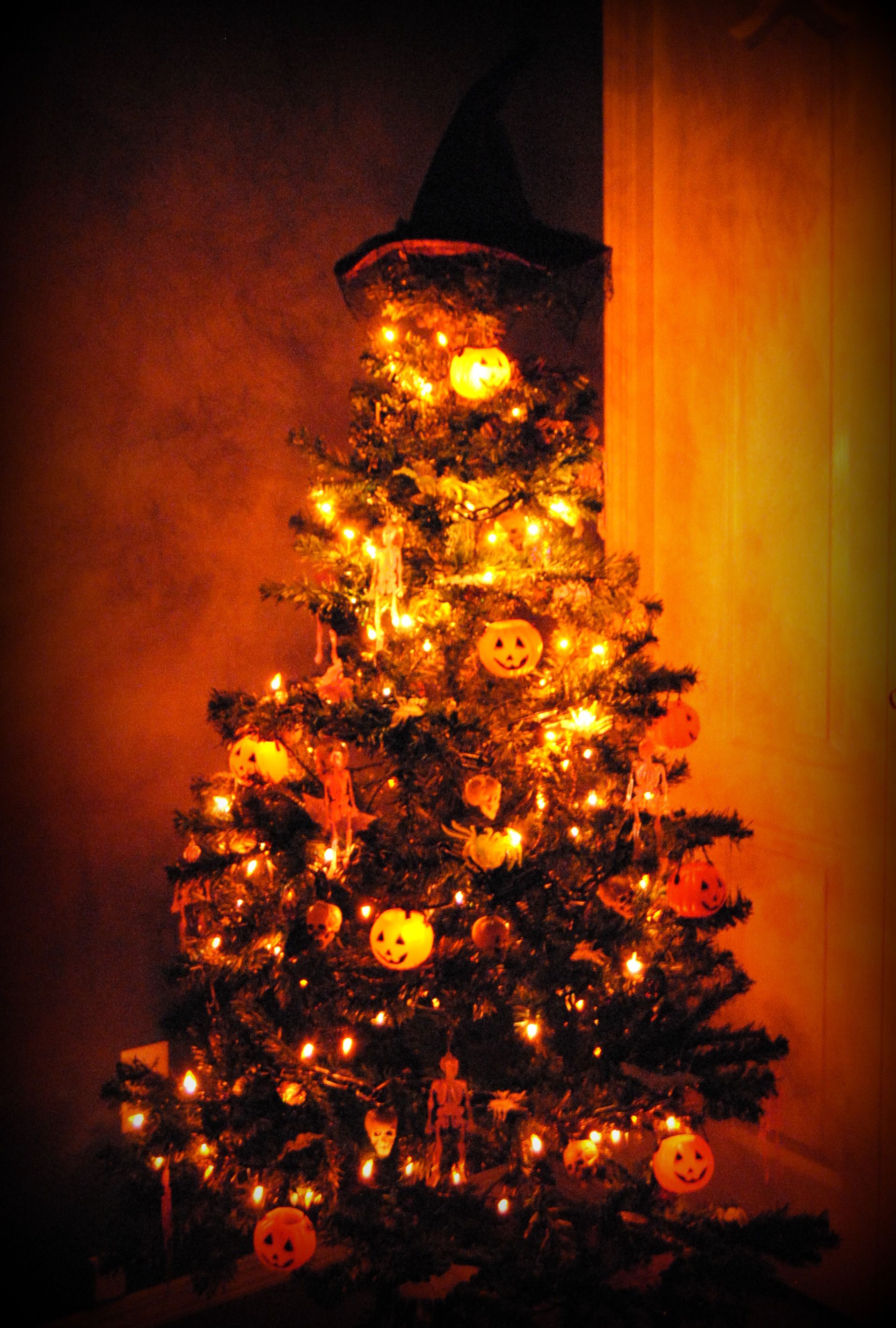 Halloween Tree at night Creepmas ♥ Pinterest Halloween trees - halloween tree decoration Halloween Tree at night Creepmas ♥ Pinterest Halloween trees - halloween tree decoration