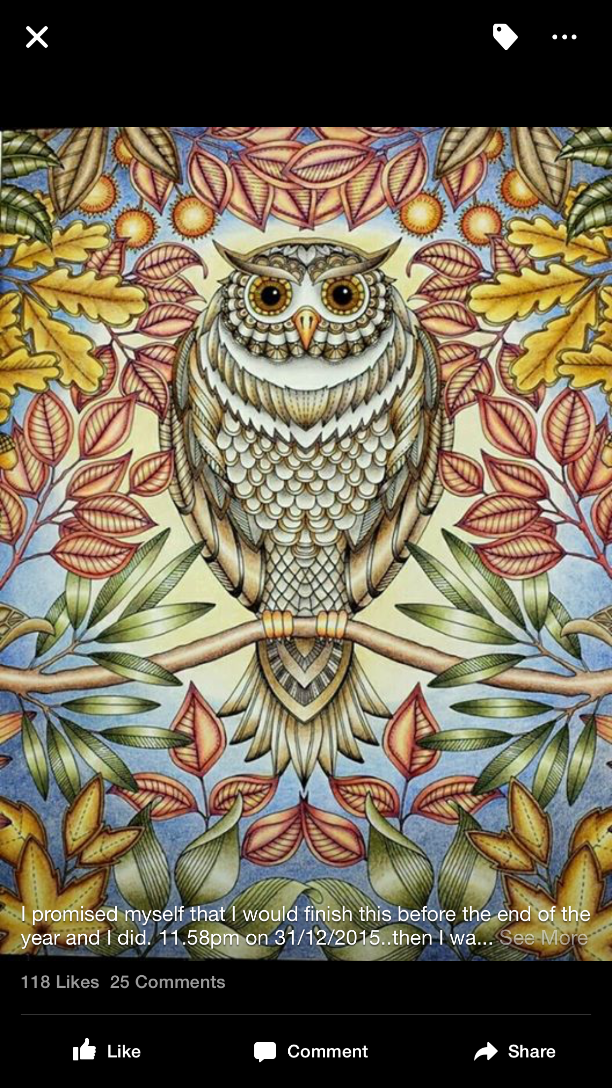 Download Color Ideas image by dje6211 | Johanna basford secret ...