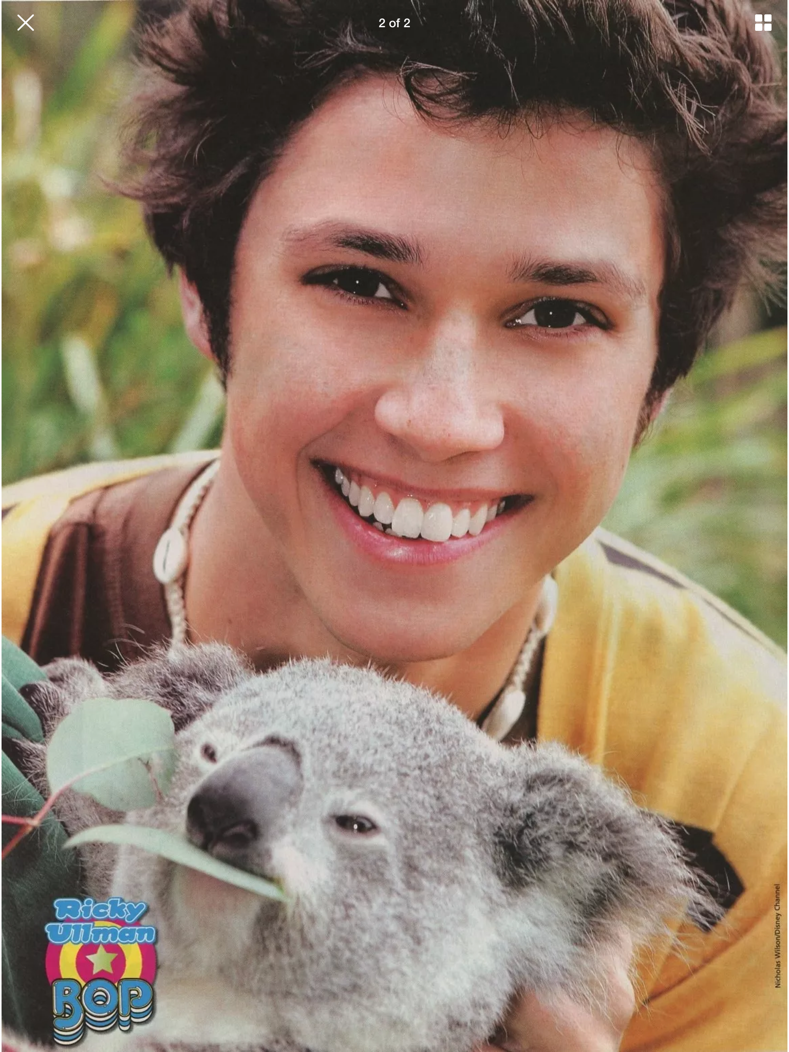 Pin by Victoria Hendricks on raviv ullman | Ricky ullman, Koala bear, Koala