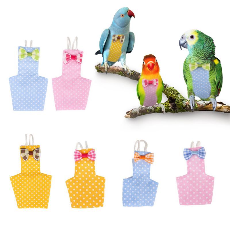 TheBirdLovers provides bird toys, feeding supplies, cages & nests, food rings, and even training and grooming supplies. Best Bird Bedding Litter Online. Food Rings, Bird Supplies, Pet Bird, Tarpaulin, Bird Toys, Toys Online, Cockatiel, Nests, Pigeon