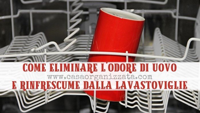 Come rimuovere gli odori dalla lavastoviglie | DiLei