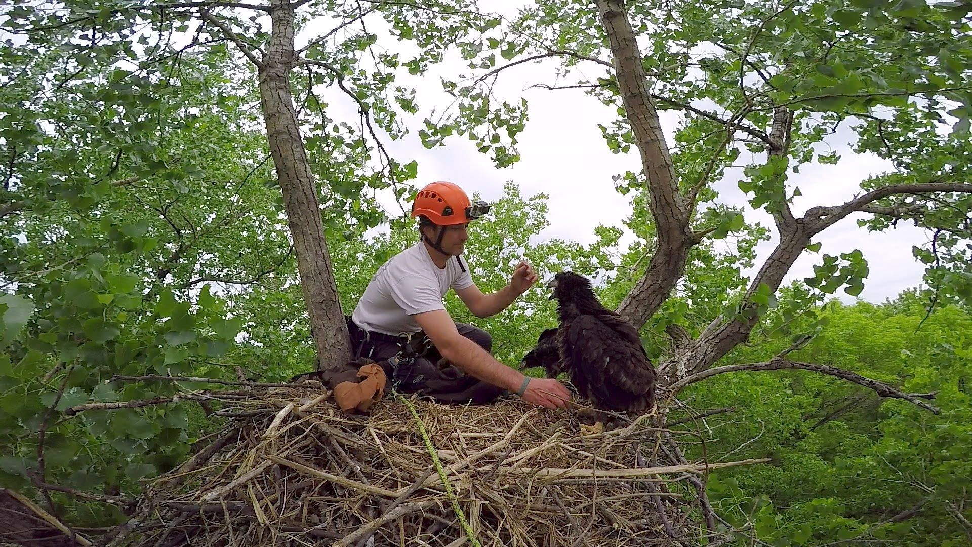 Jim CampbellSpickler is brave. The wildlife biologist