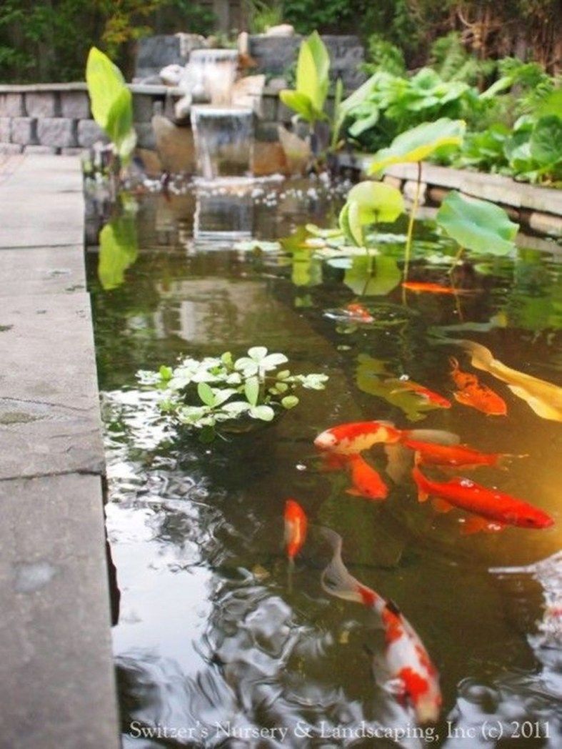 modern backyard fish pond garden landscaping ideas 19 fish pond gardens ponds backyard landscaping with rocks