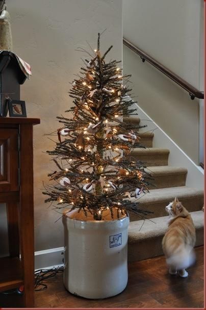 Twig Tree In Crock.......and A Very Interested Kitty! Prim twig tree in crock.......and a very interested kitty! - Twig Tree In Crock.......and A Very Interested Kitty! Prim