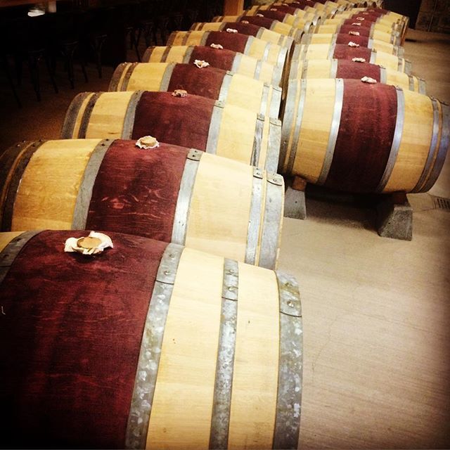 Oak barrel room #visitnapavalley by karunadesigner ...
