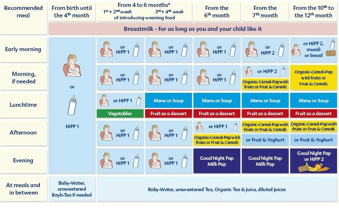 10 Months Indian Baby Food Chart Artofit 10-months-indian-baby-food-chart-artofit