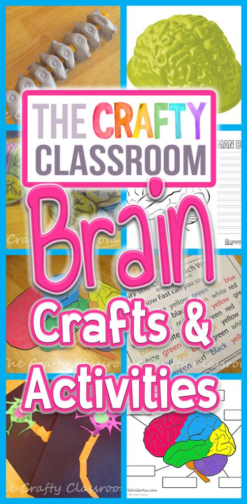 Brain Crafts and Activities