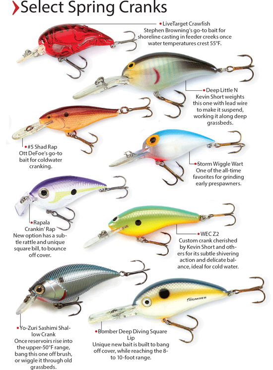 Baits And Crankbaits For B In Fisherman Bfishingtips Baits And Crankbaits For B In Fisherman Bfishingtips