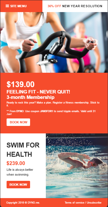 fitness newsletter templates thevillas co