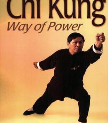 shaolin kung fu books pdf free download shaolin kung fu books pdf free download