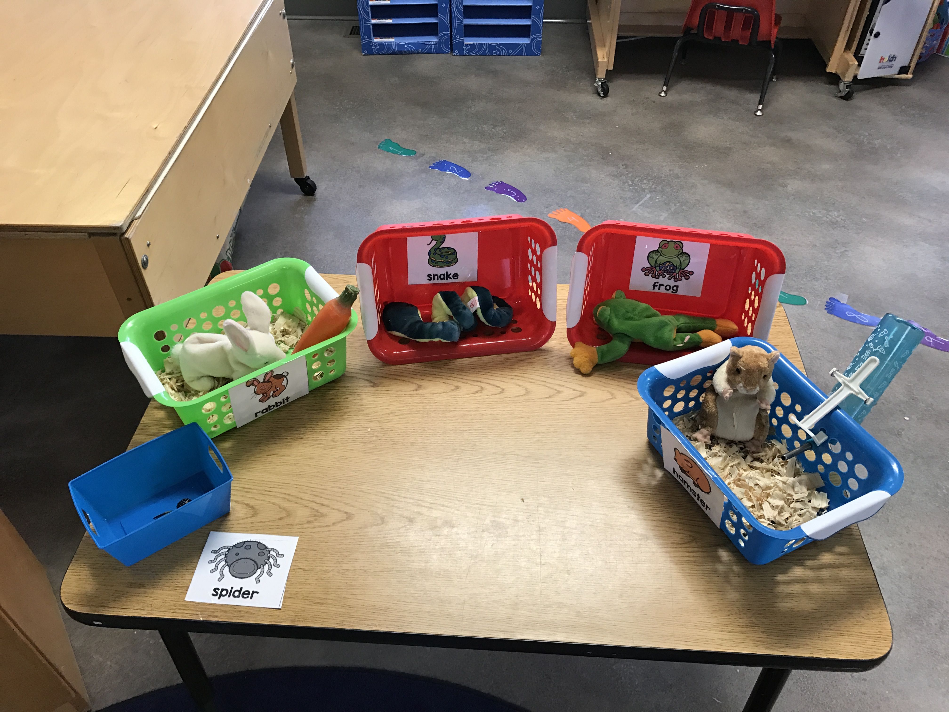 Pets In Preschool Dramatic Play Area Dramatic Play Preschool pets-in-preschool-dramatic-play-area-dramatic-play-preschool