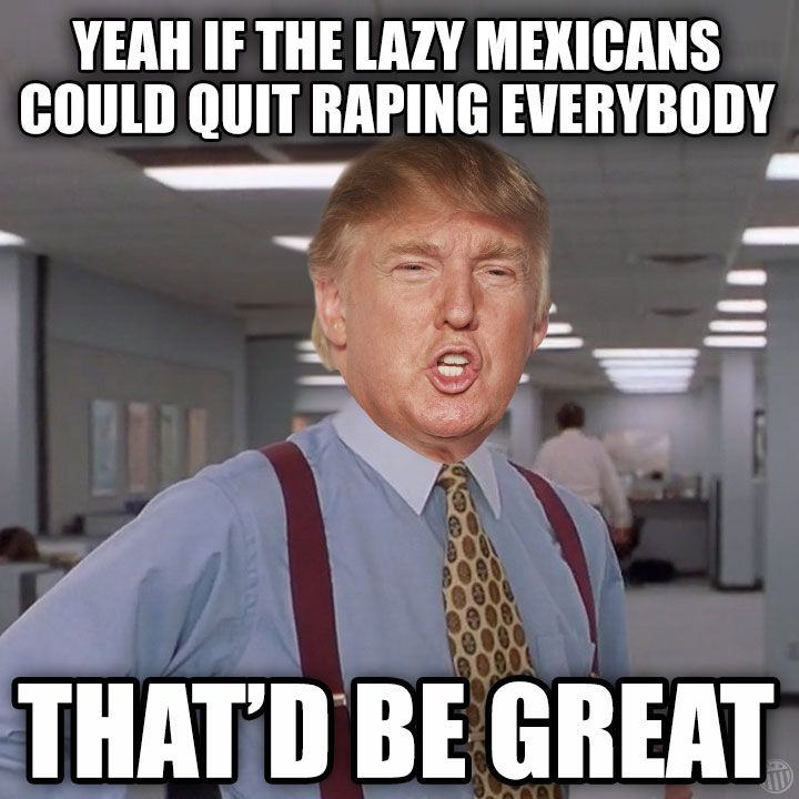 50 funniest donald trump meme images and photos on the internet 87d22a0f69b5d8b60ba58f8c3f4f3aff 50 funniest donald trump meme images and photos on the internet