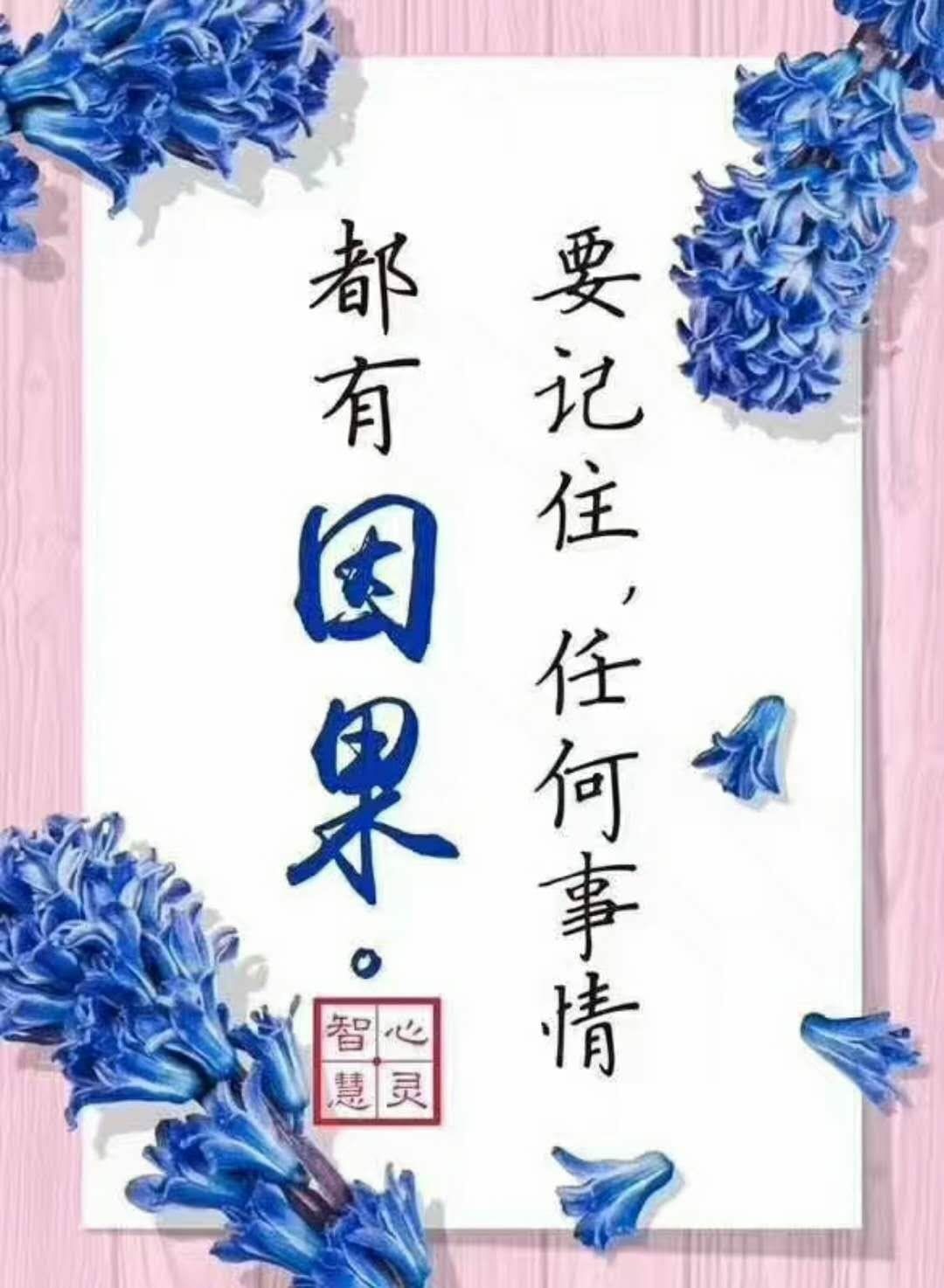 Pin by HelloMellow777 on 佛言佛语 Words of Dharma | Karma quotes, Chinese