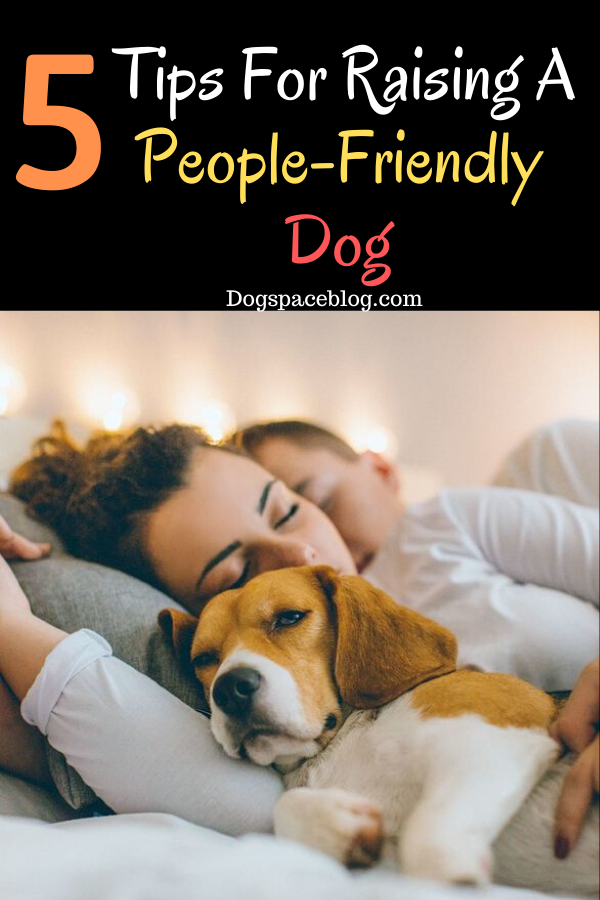 Raising A People Friendly Dog DogSpaceBlog Dog Friends Socializing raising-a-people-friendly-dog-dogspaceblog-dog-friends-socializing
