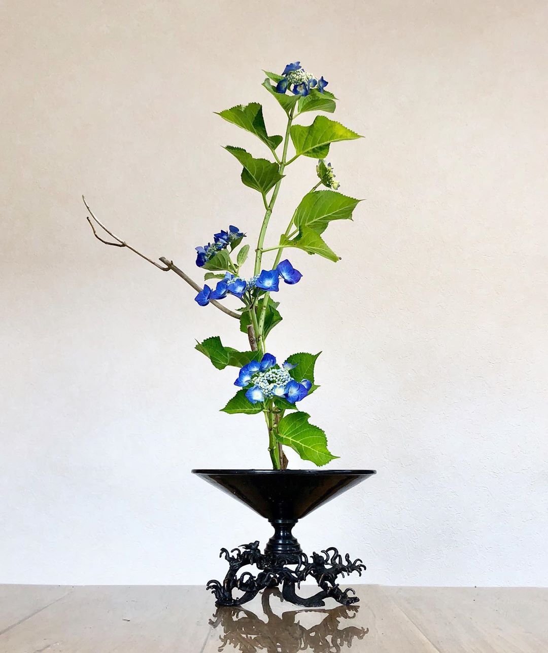 Aiko On Instagram 家花でひといけ 生花一種生 ガクアジサイ Kadoh Ikebana Flower Flowers Flowerstagram Flowerarrangement Japanese Floral Design Ikebana Japanese Flowers Aiko On Instagram 家花でひといけ 生花一種生 ガクアジサイ Kadoh Ikebana Flower Flowers Flowerstagram Flowerarrangement Japanese Floral Design Ikebana Japanese Flowers