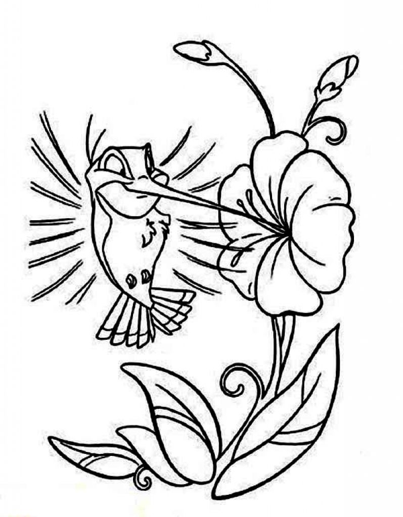 Online Printable Cartoon Hummingbird Coloring Page For