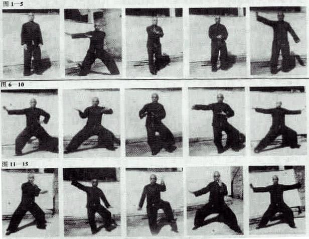 Fu Style Bagua Orthodox Form Martial Arts Martial Tai Chi Chuan