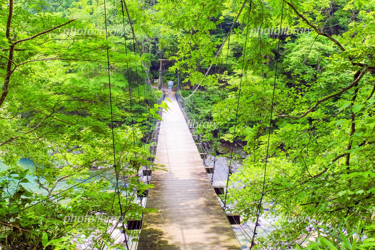 Bridge Pier おしゃれまとめの人気アイデア Pinterest Lacroix Tk 吊り橋 渓谷 町 Bridge Pier おしゃれまとめの人気アイデア Pinterest Lacroix Tk 吊り橋 渓谷 町