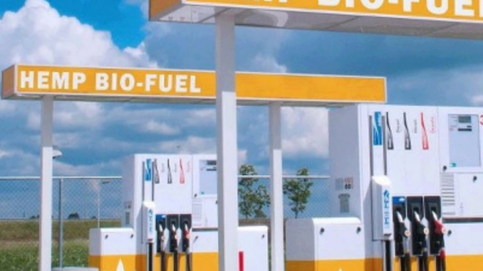 Hemp Ethanol Would Help To End Oil Wars Oil Spills And Climate Destabilization Oil Spill Hemp Climates