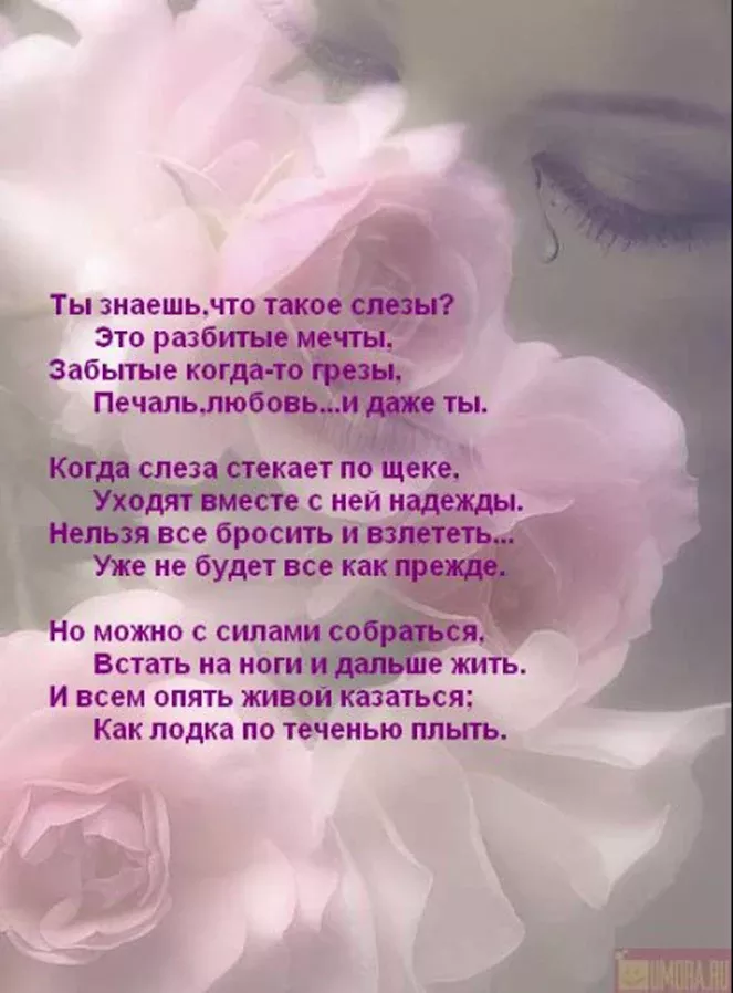 Картинки с трогательными словами, открытки февраля коллегам