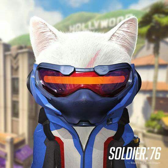 cat reaper overwatch cat reaper overwatch