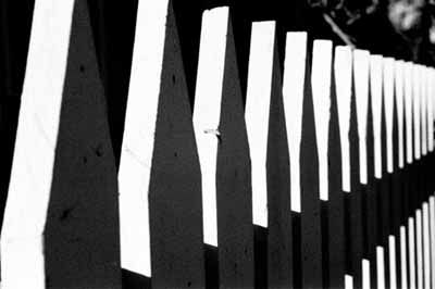 Rhythm Rhythm Art Principles Of Design Visual Elements Of Art