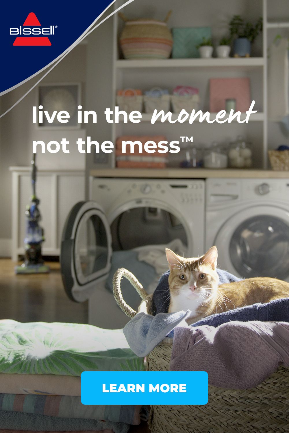 Pet Vacuum, Wet Dry Vacuum, Carpet Steam, Love Your Pet, Bissell, Carpet Cleaners, Cleaning Upholstery, Pet Home, Portfolio