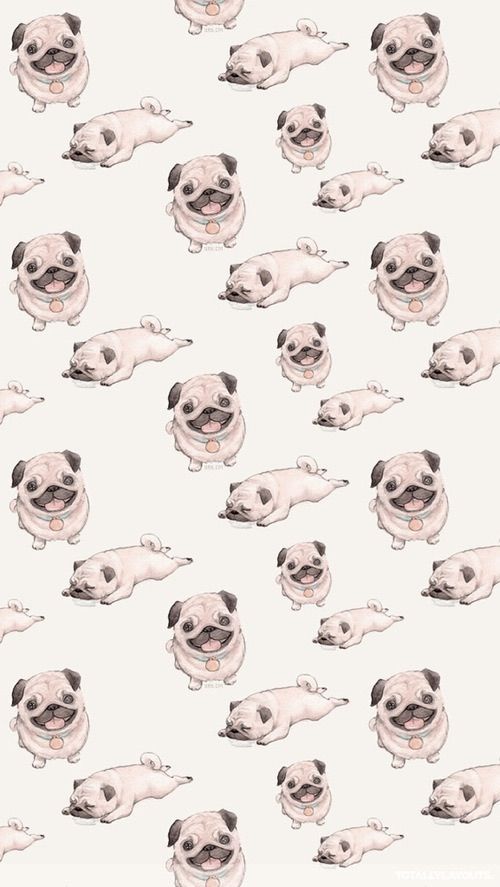 29 Ideas Wallpaper Iphone Cute Giraffe Wallpapers Giraffe Pictures Giraffe Tumblr Iphone Wallpaper