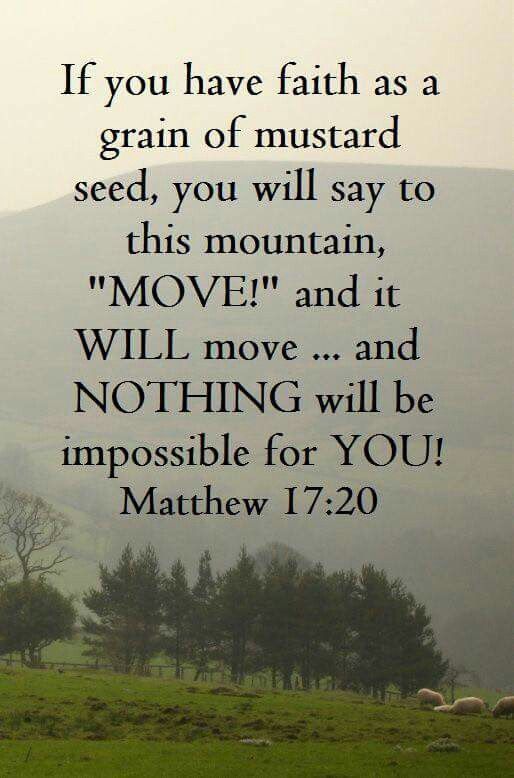 If You Have Faith As A Grain Of Mustard Seed Scripture Quotes if-you-have-faith-as-a-grain-of-mustard-seed-scripture-quotes