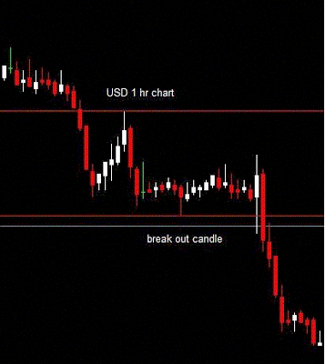 New tv disney in forex