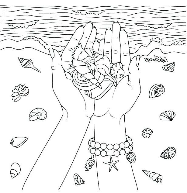 Download Seashell Coloring Page STVX Seashell Coloring Pages - Languagedialer | Coloring pages, Color ...