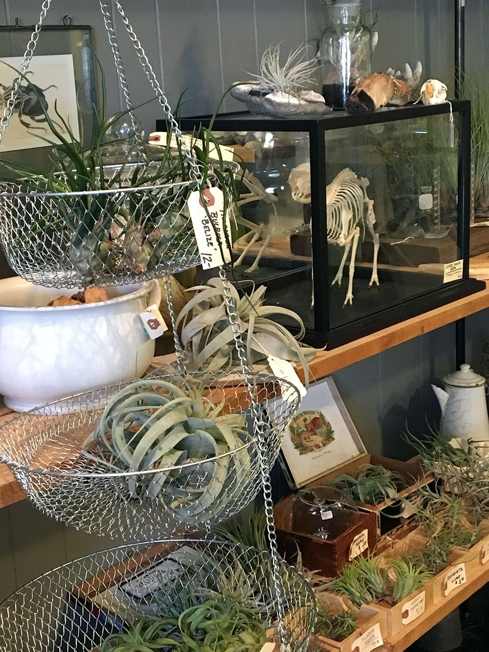 Natural Selection Reno Nv Decor Home Natural Selection Reno Nv Decor