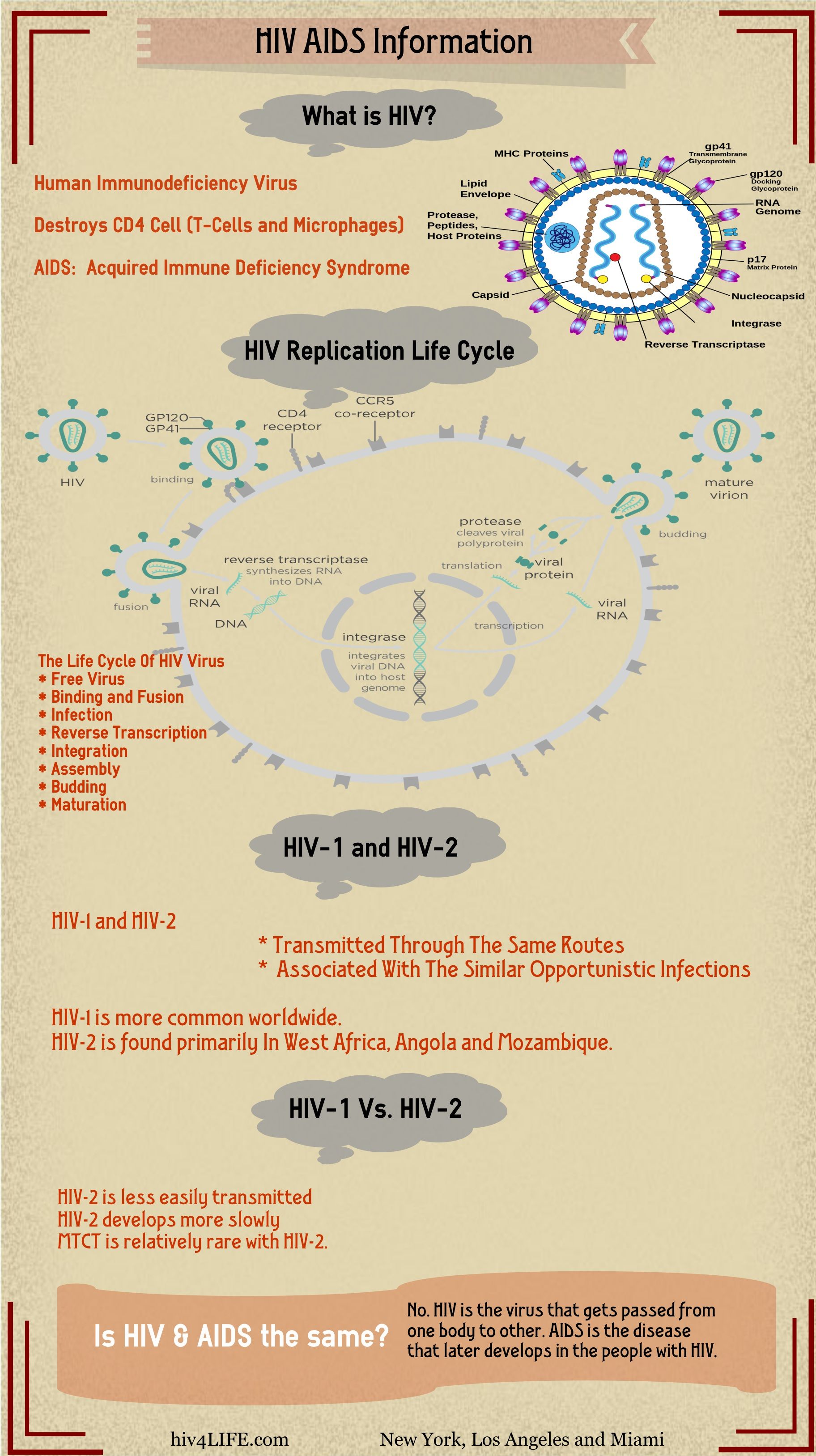 HIV AIDS Information Infographics Hiv Aids Information What Is Hiv 