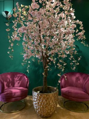 Bloesembomen Pink Bedroom Design, Home Room Design, Dream Home Design, Interior Design Living Room, House Design, Living Room Divider, Living Room Plants, Home Living Room, Fall Home Decor