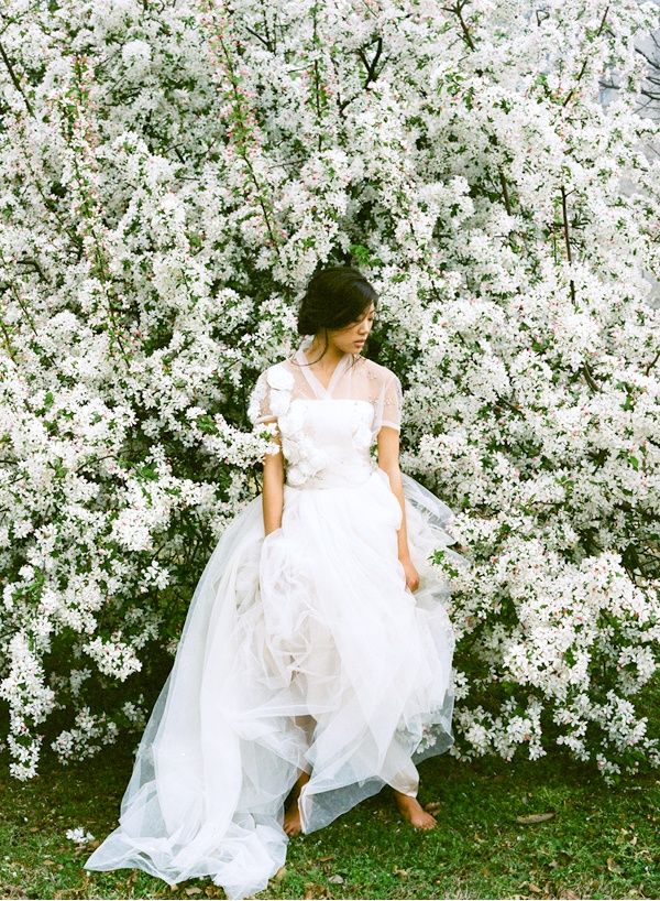 fox on the run, bride | roots | pinterest | ana rosa, primavera y rosas