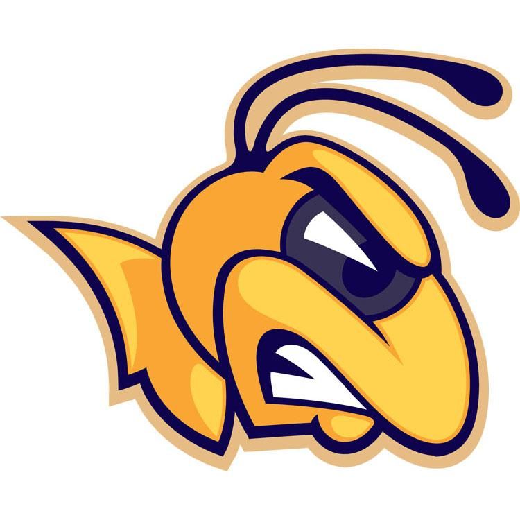 teamspirit logo teamspirit logo