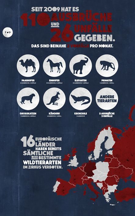 Tyke 2014 Peta Gegen Den Zirkus Paarhufer Wilde Tiere Tiere