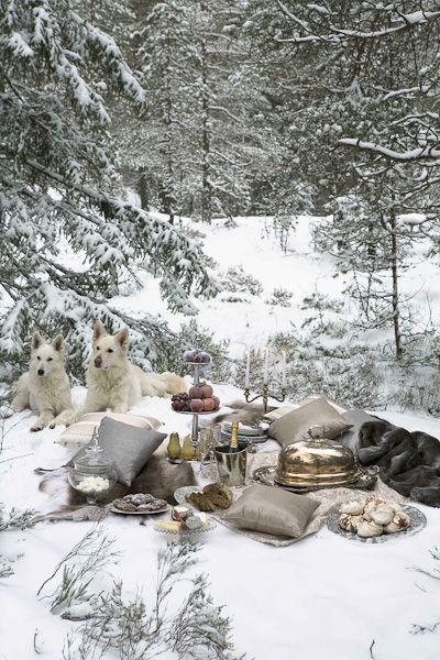 Picnic Is Over And Winter Is Coming >> Winter Picnic We Are Somewhere Near Kis Geliyor 2019 Picnic Is Over And Winter Is Coming >> Winter Picnic We Are Somewhere Near Kis Geliyor 2019