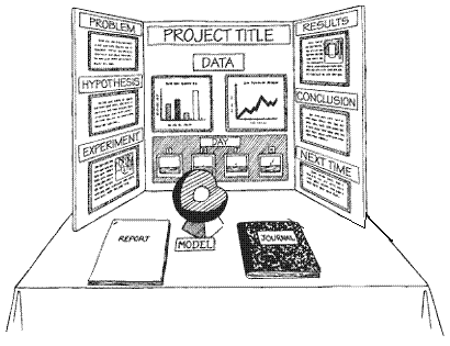 science projects layout