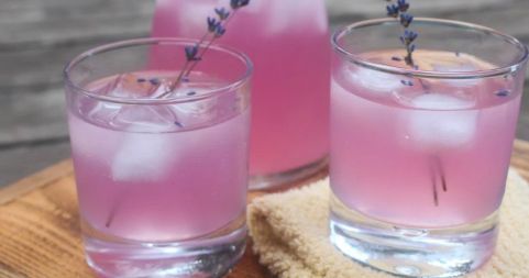 How To Make Lavender Lemonade To Get Rid Of Headaches Dried Lavender, Lavender Oil, Lavender Essential Oil, Essential Oils, Lavender Drink, Lovely Lavender, Lavender Buds, Getting Rid Of Headaches, Get Rid Of Anxiety