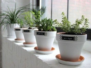 50 Classy Garden Window Decoration Ideas #kleinekräutergärten