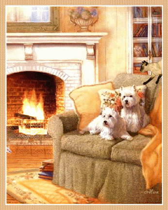 Google Old Dogs Westies West Highland Terrier