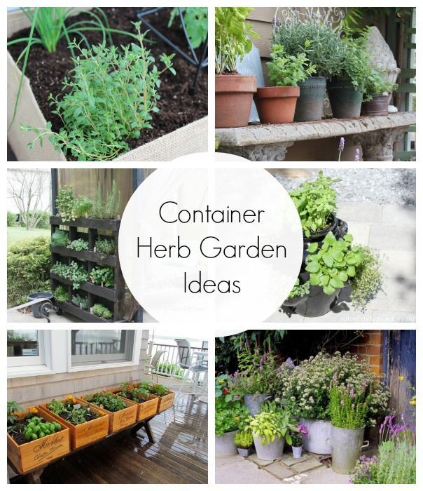 Vertical Patio Garden Vertical Patio Garden Herb Garden In Kitchen Vertical Garden