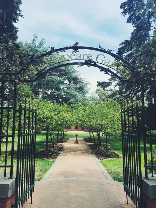 The Shakespeare Garden Of Flowers San Francisco Golden Gate Park San 100 Things To Do