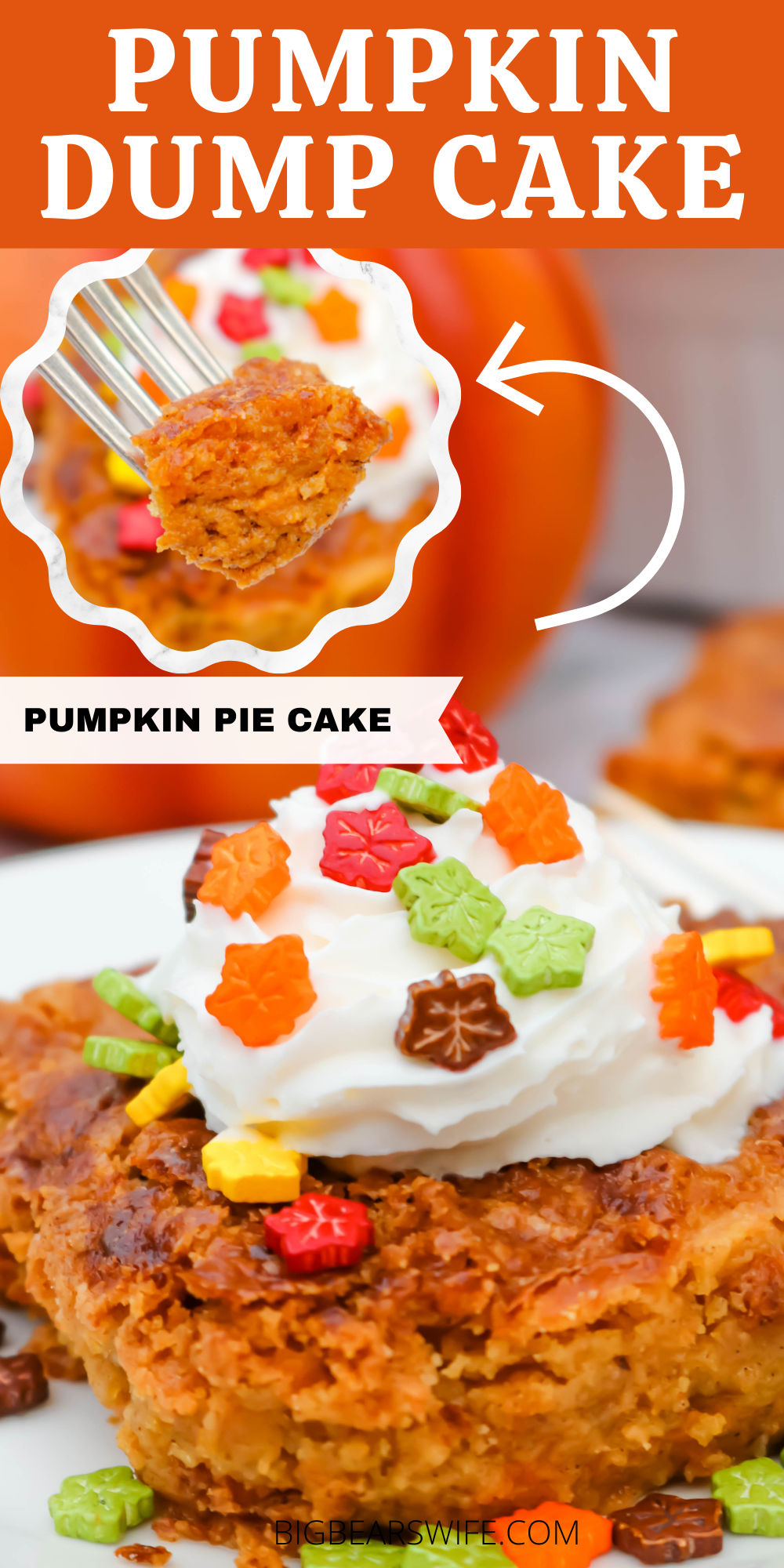Pumpkin Dump Cake Recipe Pumpkin Pie Drink Savory Pumpkin Recipes Pumpkin Dump Cake Recipe Pumpkin Pie Drink Savory Pumpkin Recipes
