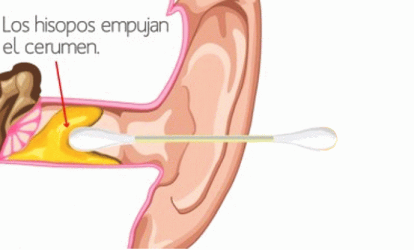 Pin On Propiedades Curativas De Algunos Alimentos Y Hierbas