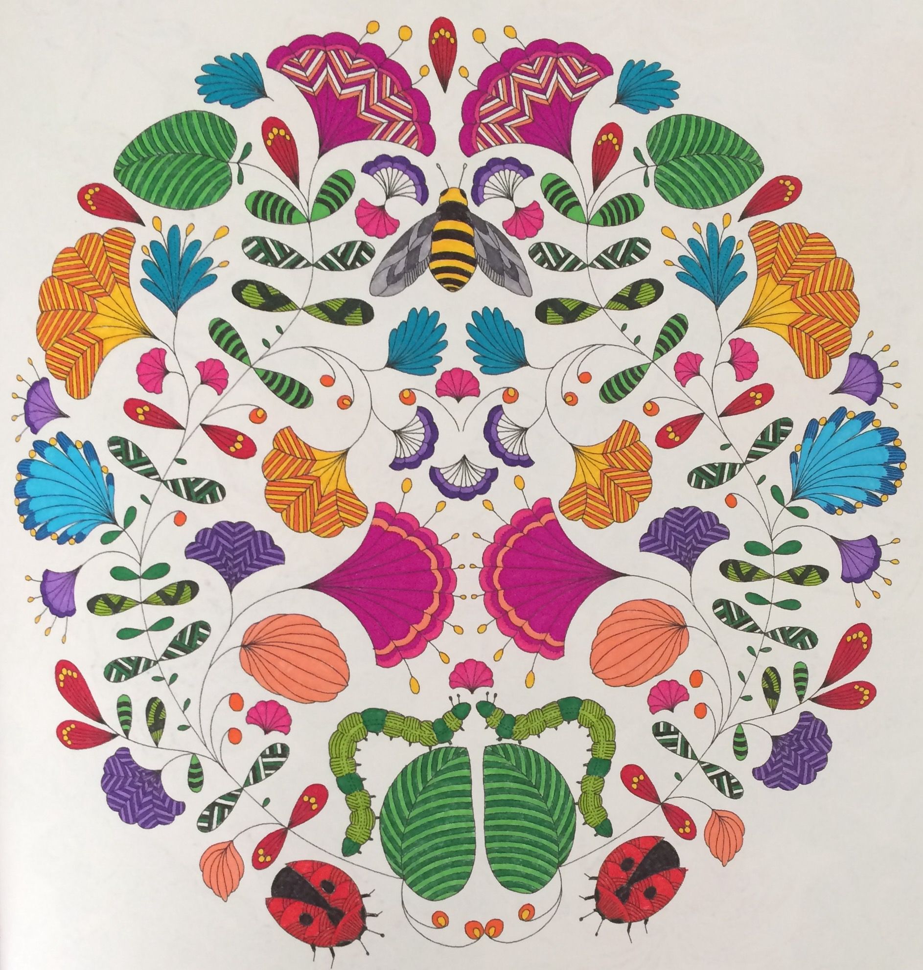 Download From Millie Marotta's Animal Kingdom. Coloured by Laura ...