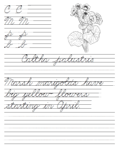 practicing penmanship